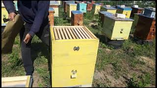 Как заставить пчёл подняться во второй корпус? Метод от нашего подписчика.