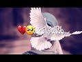 عساه الموت يلفيني يطير الصاف وتمنه عساه الموت يلفيني يطير الصاف وتمنه