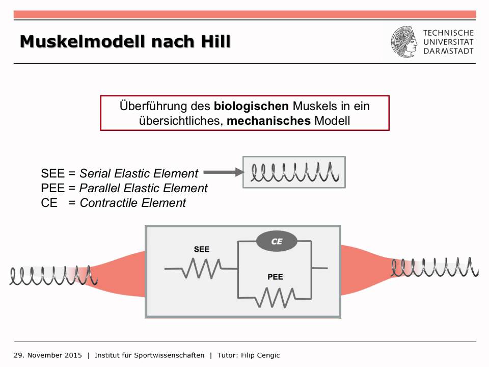 IfS-TUD Wiki: MUS2 Muskelmechanik