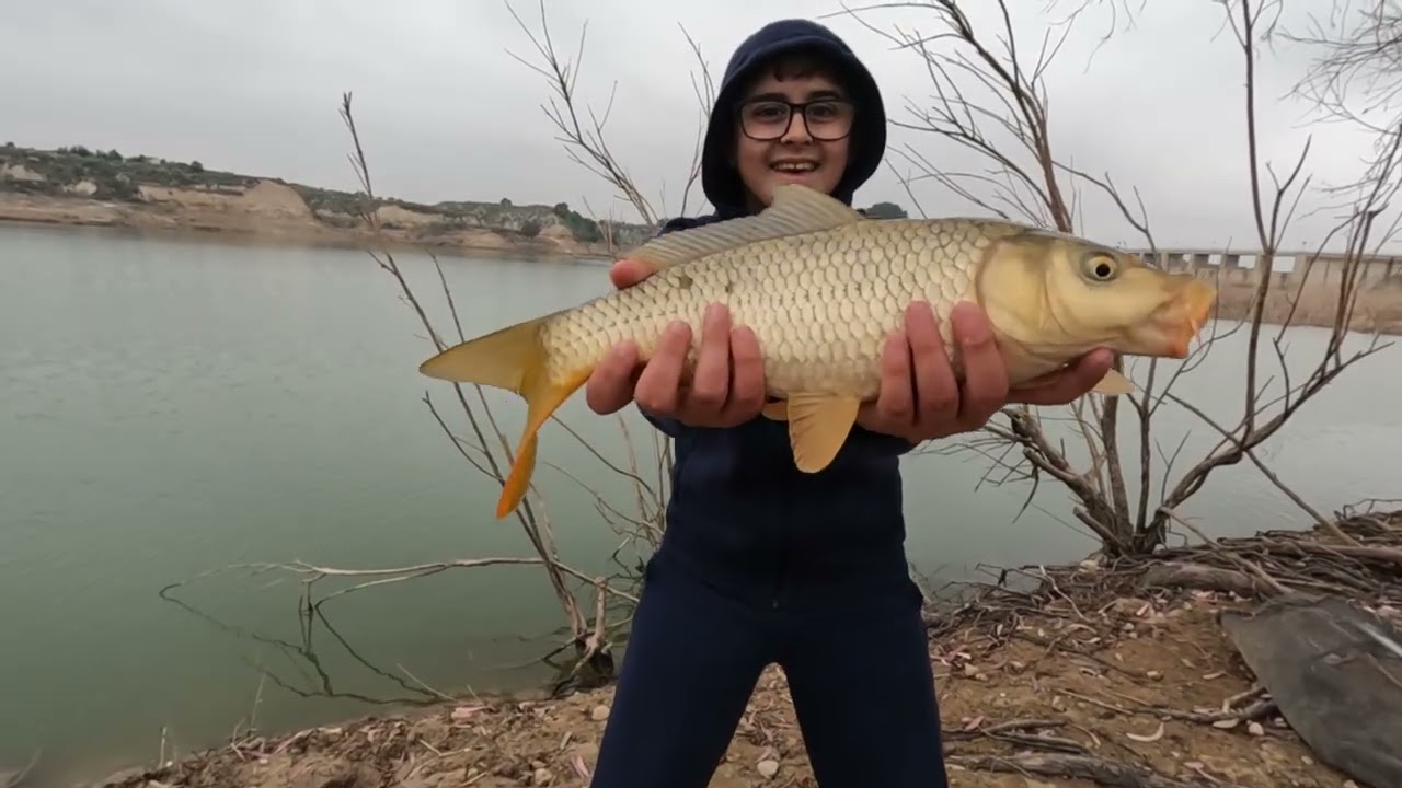 Pescando carpas en invierno en Pliego. #fishing #carpfishing #pesca #carpassion #carp #feeder 