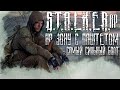 ПАШТЕТ ПРОНИК В ЗОНУ! STALKER RP!