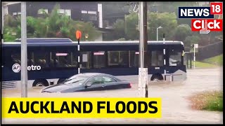 People Evacuated As Heavy Rain Floods Parts Of Auckland | Auckland Flooding 2023 | English News