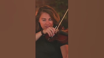 Thumbnail of Taylor Davis concerning Hobbits folk version|the Lords of the rings|Solo violin| #shorts #violin