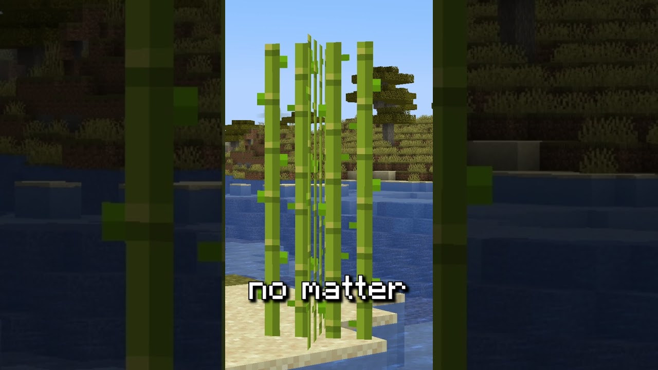 do NOT look at the sound