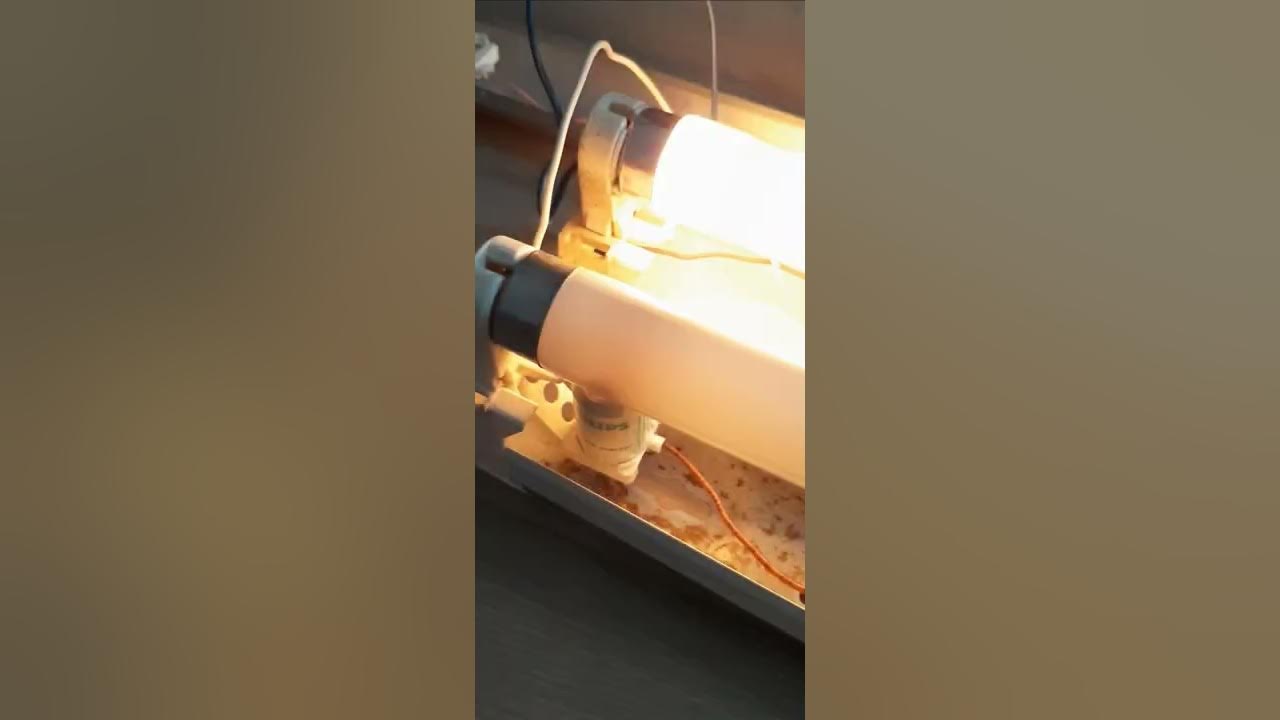 Some burning electrodes on broken fluorescent tubes YouTube