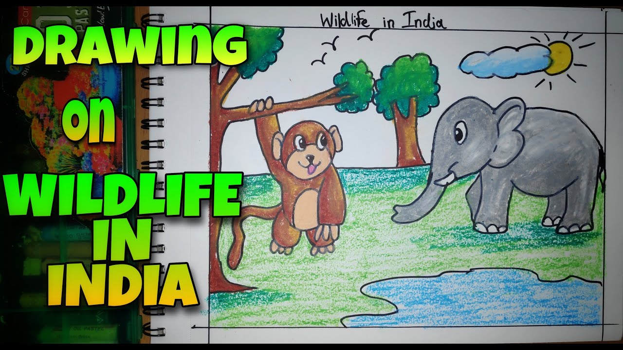 Drawing on Wildlife in India | Step by Step Guide for Students | - YouTube