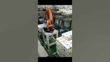 Hennopack robotic palletising system for two carton box line with kuka robot