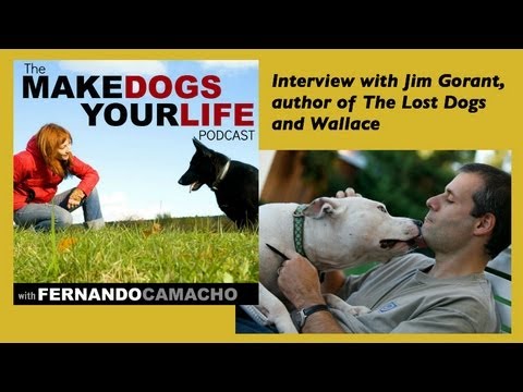 Video: 'Wallace': Jim Gorant'ın Yeni Kitabı ve İlham Veren Uçan Köpeği Yemekleri