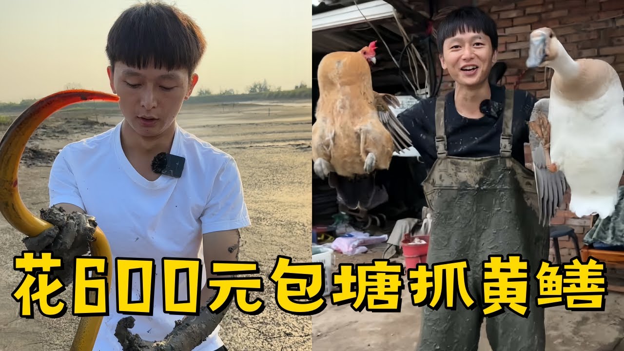水猴子花600元包塘抓黄鳝，没有抓到老板说的2斤重的鳝鱼日夜难寐！