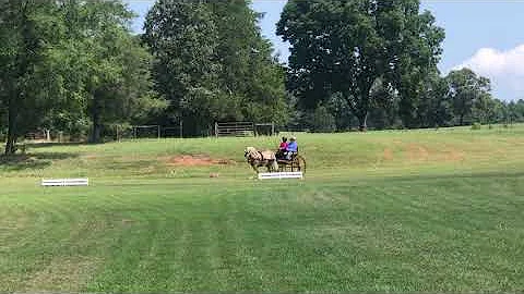 Rebecca Ginn CCC Working