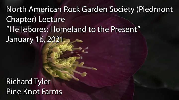 "Hellebores: Homeland to the Present"