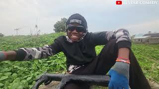 Download Lagu the new isrealites, say no to cultism MP3 Download Lagu the new isrealites, say no to cultism MP3