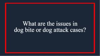 Famous PA & NJ Dog Bite Laws - Issues In Dog Bite/Attack Cases Profile