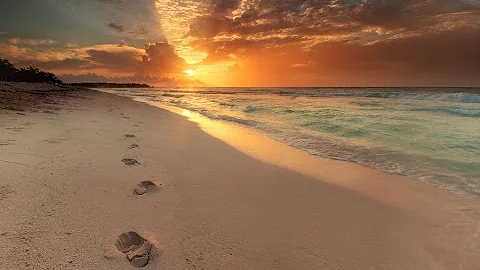 IN HIS STEPS (Steps to Christ Systematic Study) Le...