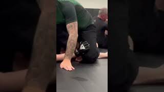 Nogi Simple Guard Pass - Shin Staple