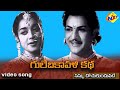 Nannu Dochu kunduvatey video Song | Gulebakavali Katha Telugu Movie Songs | NTR Jamuna | TVNXT Music