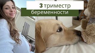 Мой третий триместр беременности: ожидание и предвкушение встречи с малышкой