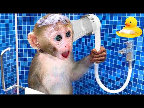 Video La scimmietta Bon Bon fa un bagno adorabile in bagno con un'anatra giocattolo | BonBon Italy