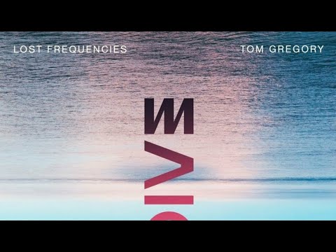 Lost Frequencies & Tom Gregory - Dive