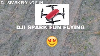 dji spark flying fun (Spark Your Imagination)