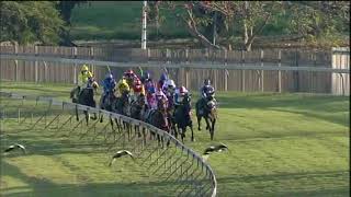 Vidéo de la course PMU PRIX HOLLYWOODBETS BRIGHT FUTURE