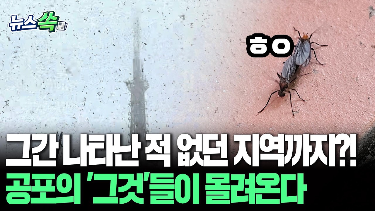 그간 나타난 적 없던 지역까지?!…공포의 '그것'들이 몰려온다 [뉴스쏙] / 연합뉴스TV(YonhapnewsTV)
