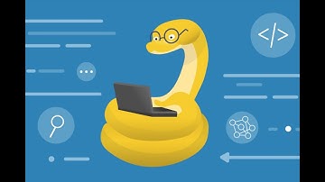 Случайные числа в Python