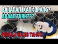 APA ITU BAHANAN CUPANG? PEMULA WAJIB TAHU!!!”