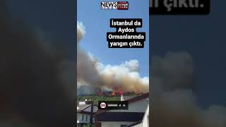 İstanbul Pendik’te Aydos Ormanı’nda Yangın Çıktı Resimi