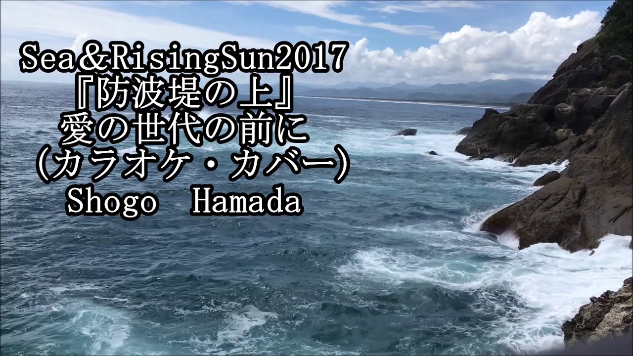 どうぶつ の 森 マイ デザイン ディズニー 地面