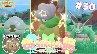 全種コンプ】色違いタツベイ一族コンプするぞ‼【ポケモンSV