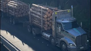 NZ TRUCKS | Wairau Bridge & Redwood Pass | 2024