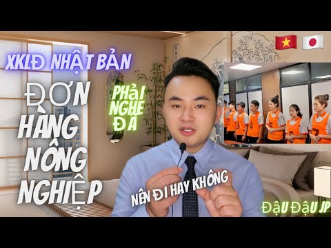 Hàng Đầu Ninh Thuận: 9 Công Ty Xuất Khẩu Lao Động Chất Lượng Cao Đáng Chú Ý