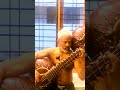 Rajeev Janardan Rudra Veena Raga Adana
