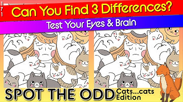 Brain break - Cats so cute 171 | find 3 differences | How good are your eyes? Quiz Fall Games