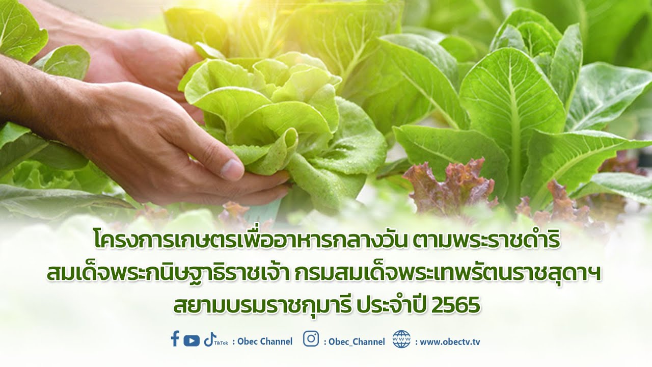 เลขาธิการ กพฐ. พบเพื่อนครู ครั้งที่ 44/2565 [Part 2/4] วันพุธที่ 14 ธันวาคม 2565