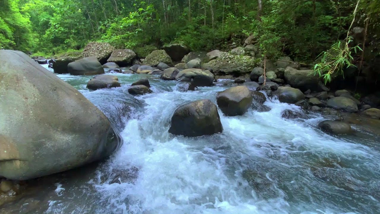 Gentle Water Ambience for Stress Relief