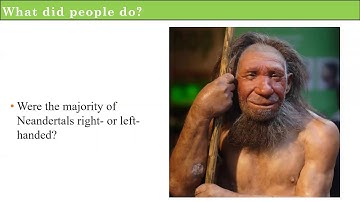 The Behavior in the Bones