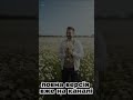 ромашка Mykola Pavlenko українськамузика Remix Love Newmusic Pop Singer Rek Song