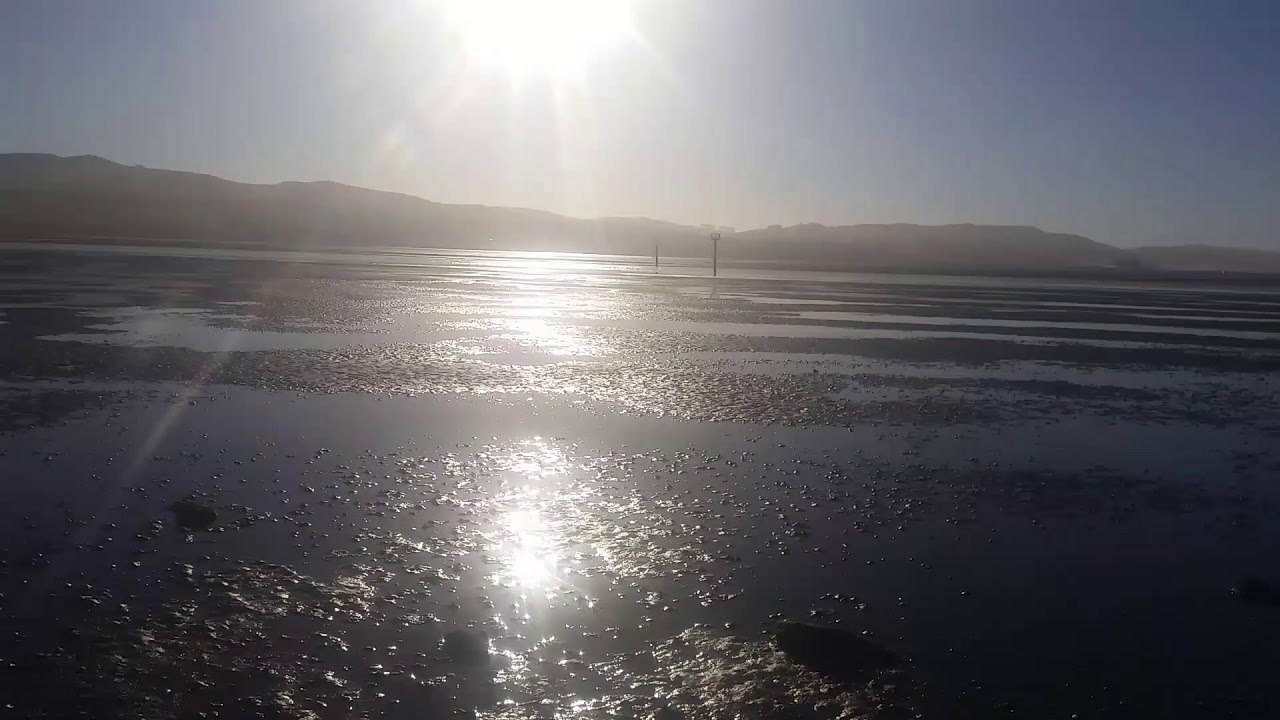 Bodega Bay Low Tide YouTube