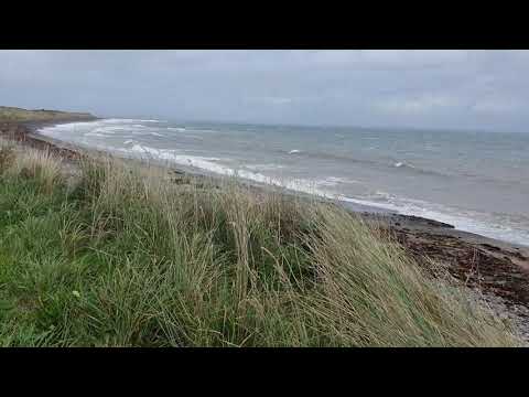 Walking Scotland Coast Line🏞 With The Dogs... Seagulls Flying 🌬🌊🌏🗺Drummore Village 🏴󠁧󠁢󠁳󠁣󠁴󠁿