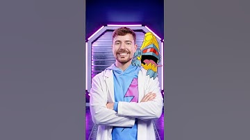 MrBeast Lab Disaster!