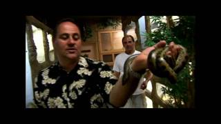 Prehistoric Pets: The Reptile Zoo - Trip to Indonesia? Ep.20