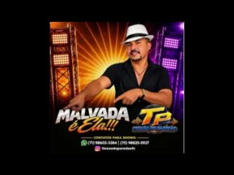 TIOZAO DO PAREDÃO - MALVADA É ELA 2026 DEIVINHO GRAVAÇÕES