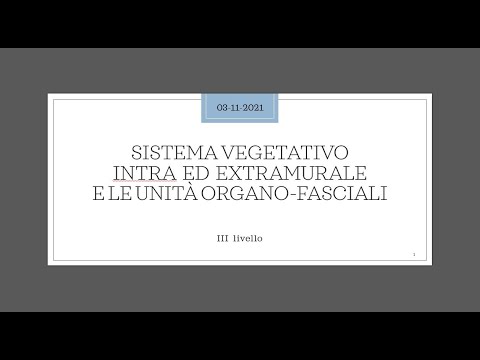 Video: Cos'è l'extramurale nell'educazione fisica?