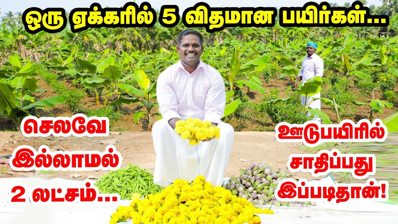 Maximizing yield: Growing 5 different crops in one acre | ஒரு ஏக்கரில் 5 பயிர்கள் - அசத்தும் விவசாயி