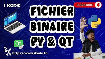 Apprends à gérer les fichiers binaires avec Qt 💻 [Bac INFO]