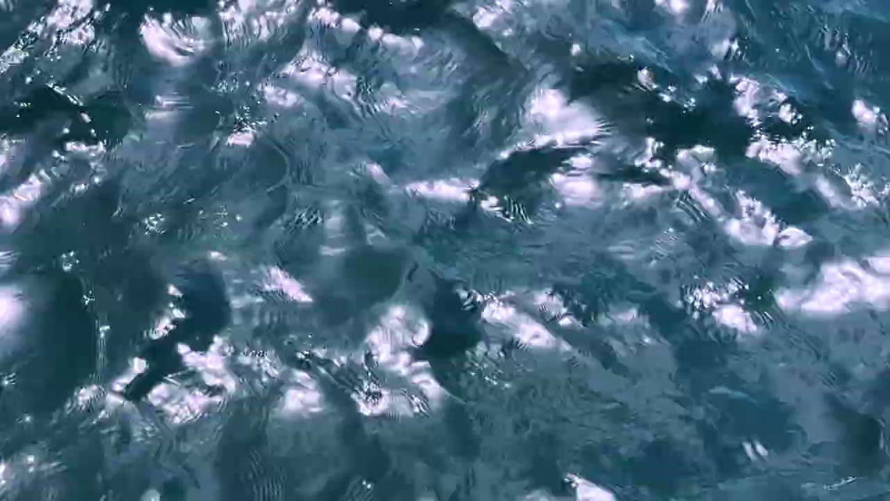 sea waves background - abstract water surface - royalty free stock video