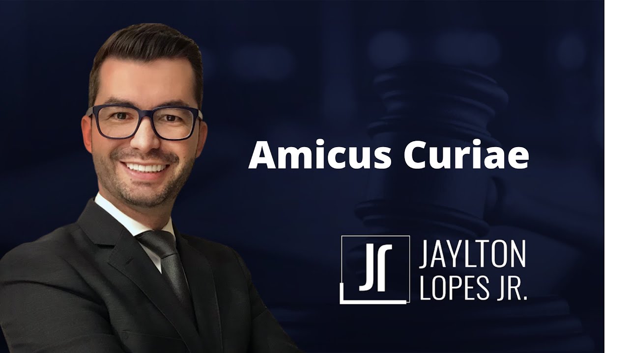 Amicus curiae