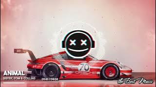 Sistek, Tom & Collins - Animal